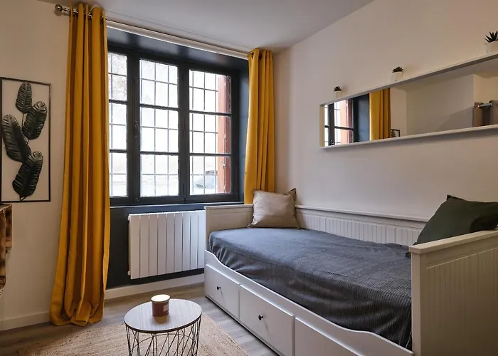 Apartment Marius - Au Coeur De La Bastide Carcassonne